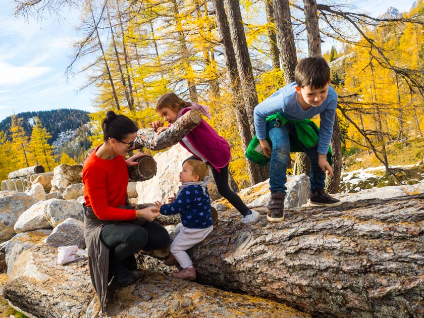 Unser Familienurlaub Am Bauernhof Eine Wild Gewordene Herde Voller Rinder More Is Now